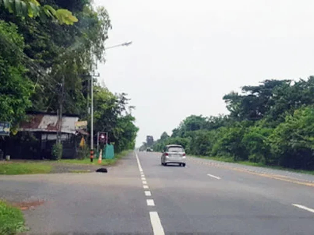 ขายถูกที่ดินอุบลราชธานี ใกล้พุทธสถานราชธานีอโศก อวารินชำราบ