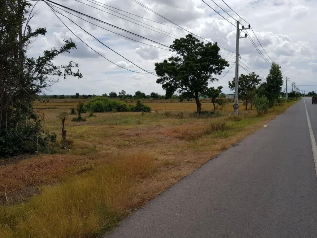 ขายที่ดิน 9-1-13 ไร่ ติดถนนใหญ่ ตด่านนอก อด่านขุนทด