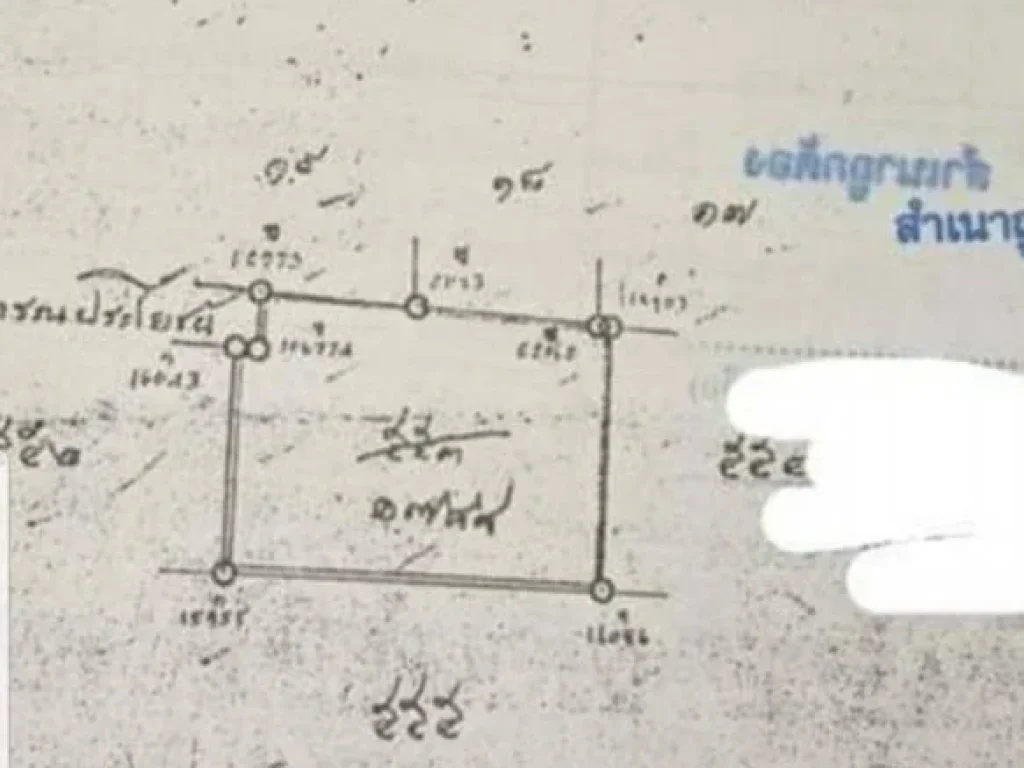 ขายที่ดินทำเลทอง ห่างสวนดอก สุเทพ เชียงใหม่ 800 เมตร