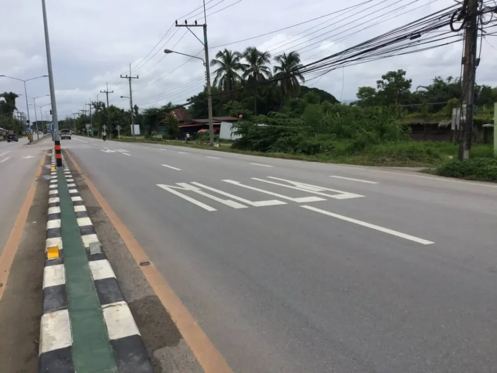 ขายที่ดินติดถนนสะลวง แม่ริม เชียงใหม่