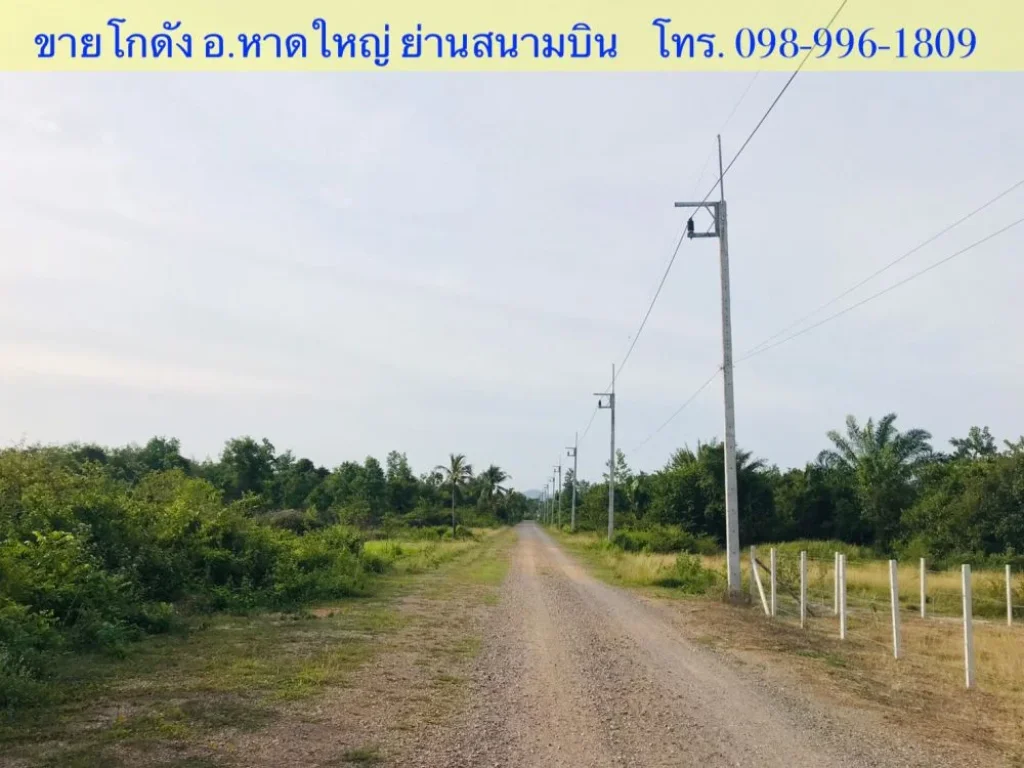 ขายโกดัง คลังสินค้า พร้อมที่ดินเปล่า อำเภอหาดใหญ่ ใกล้สนามบิน