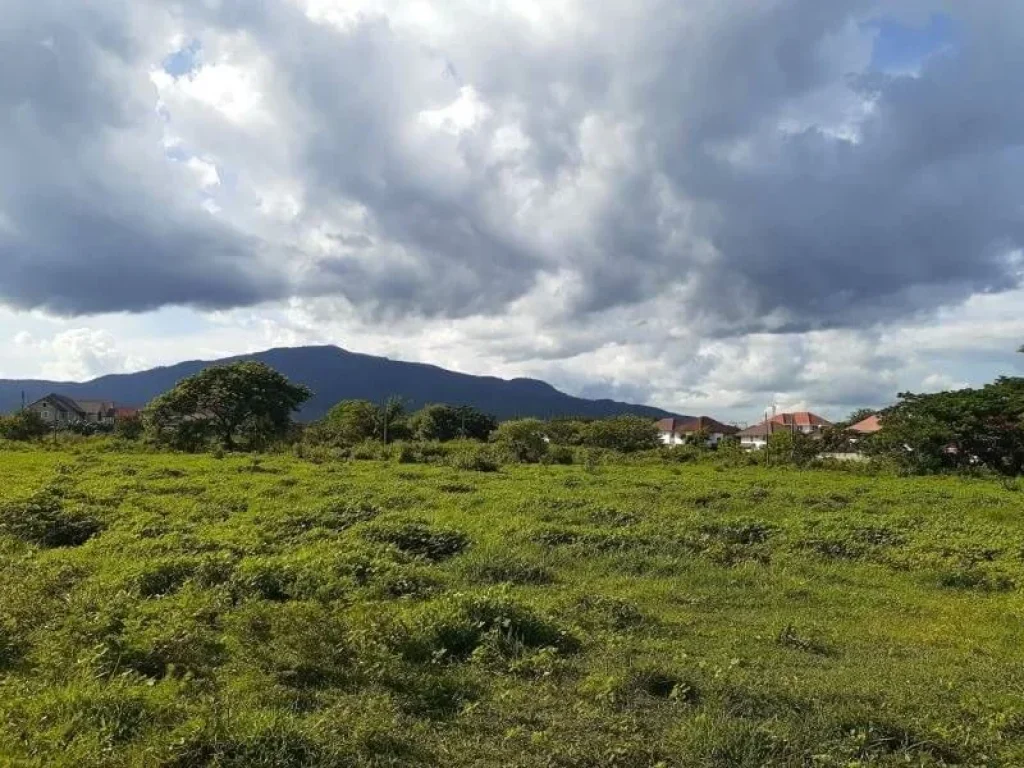 ขายที่ดินแม่เหียะ หลังกุลพันธ์วิลล์ อำเภอเมือง เชียงใหม่