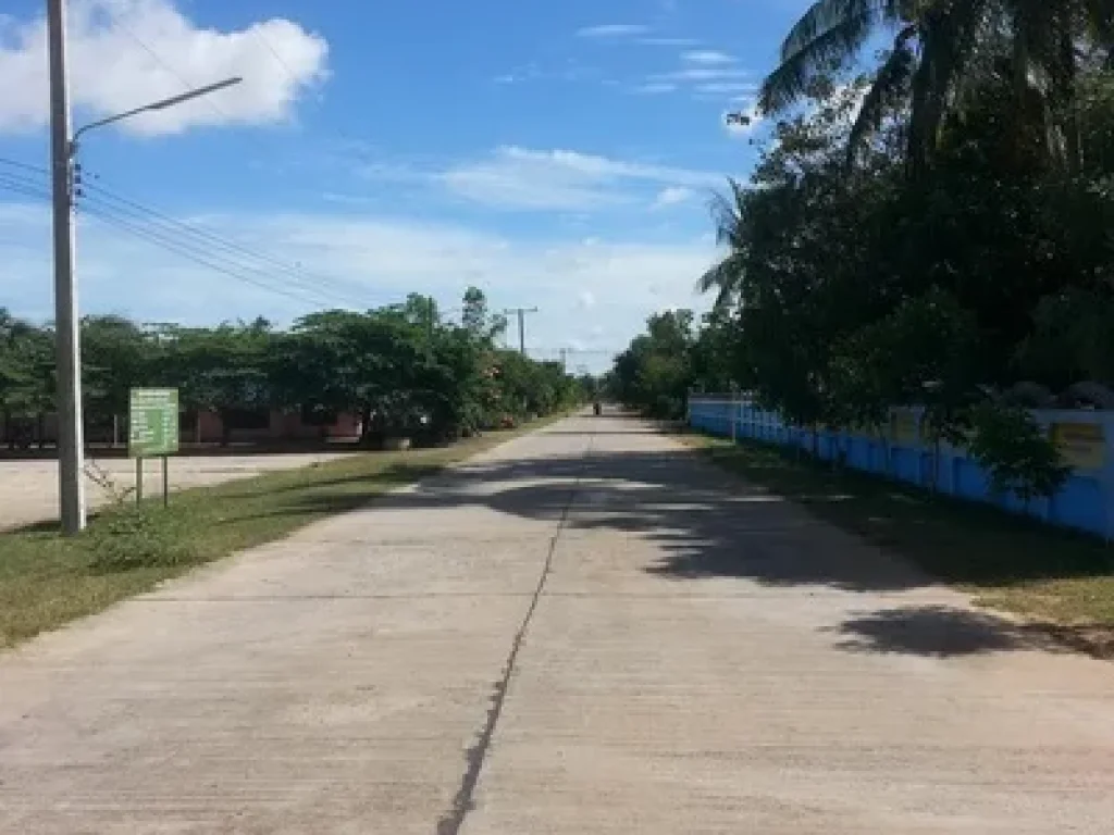 ขาย ที่ดิน บ้านหนองหญ้าไซ ถนนสกลนคร-นครพนม เมือง นครพนม