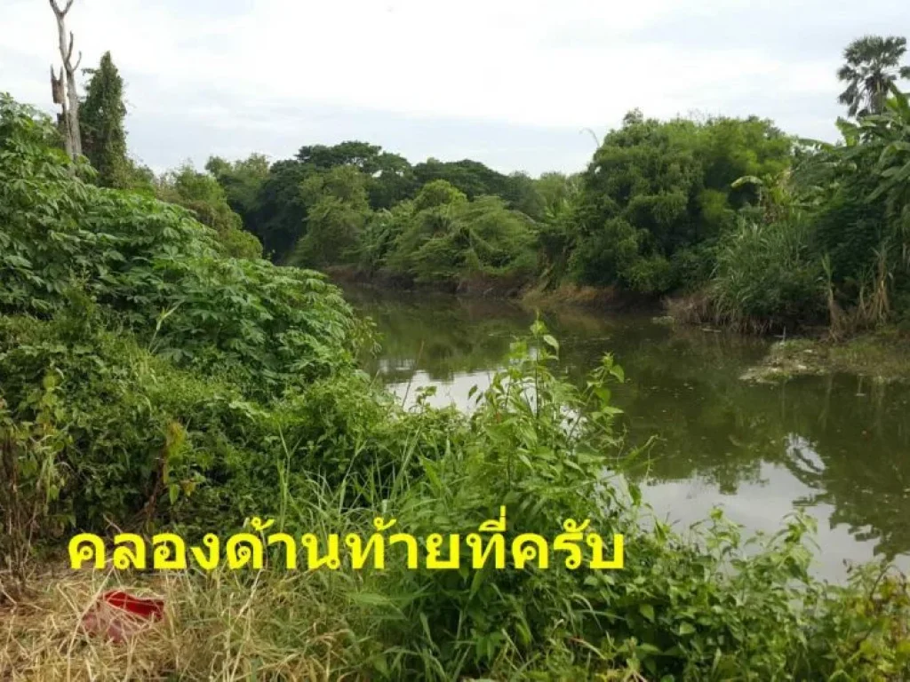 ที่ดินลำลูกกา13ไร่พร้อมบ้านให้เช่าเดือนละเพียง13000บาท