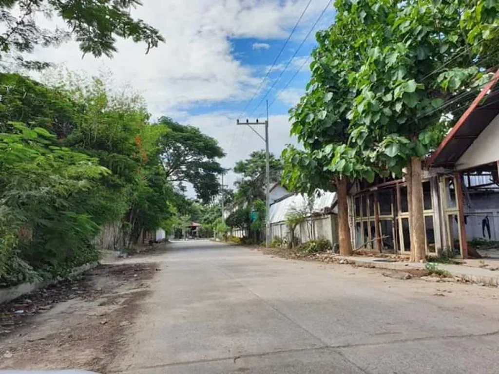 ขายที่ดินบ้านแหวนหางดง เชียงใหม่ พื้นที่สีเหลือง