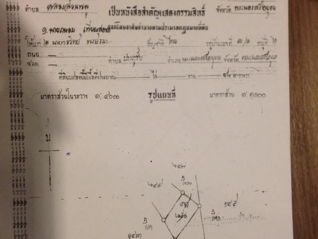 ขายที่ดินเปล่าถมแล้วติดถนนโรจนะ อยุธยา