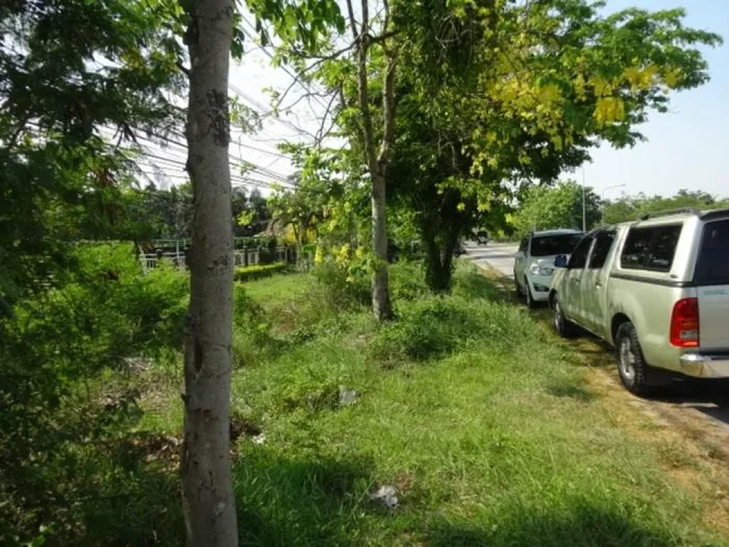 ขายด่วน ที่ดินติดถนนใหญ่ สาย 340 ใกล้สี่แยก ตลาดสามชุก สุพรรณบุรี