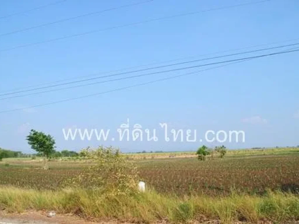 ที่ดิน15ไร่ตชอนสมบูรณ์ อหนองม่วง จเพชรบูรณ์ รหัส 2386