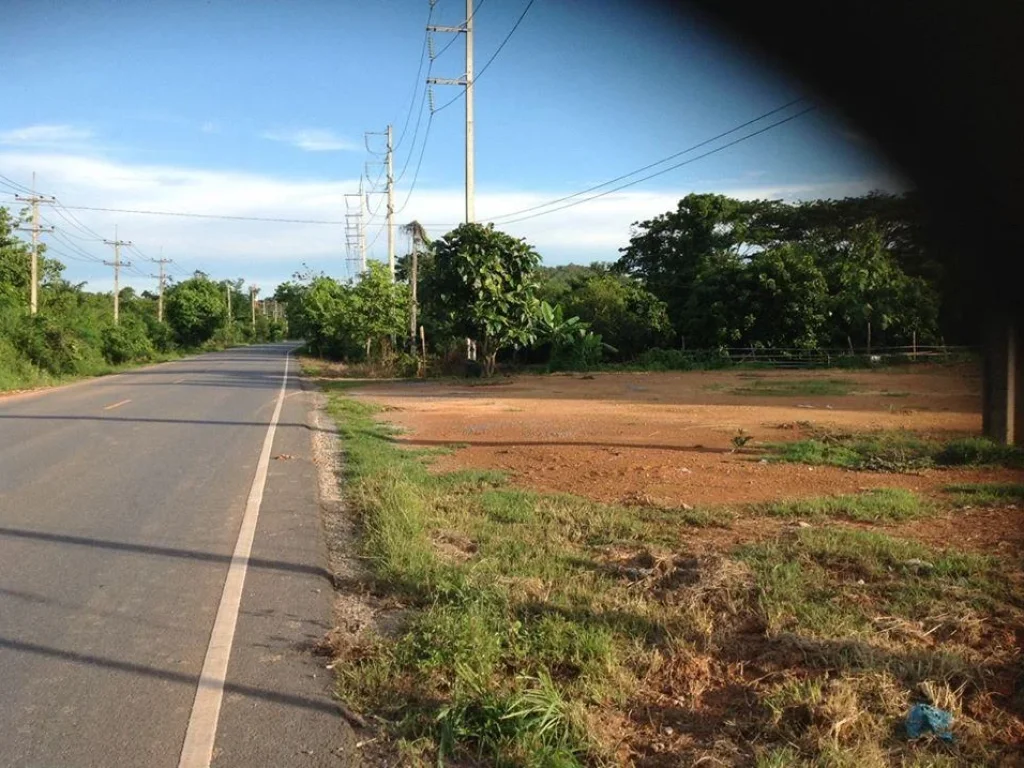 ที่ดิน 390 ตรว หน้ากว้าง 50 เมตร ติดถนนดำสายน่่าน-ผาตูบ ทุ่งช้าง ปรับถมเรียบร้อย ราคา 14 ล้านบาท