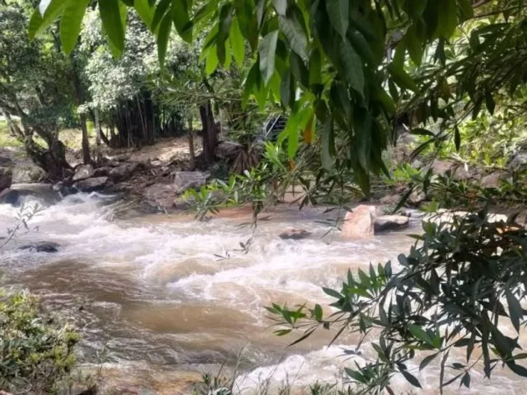 ขายที่ดินติดลำธารน้ำบ้านหลวงจอมทองโฉนดพร้อมโอน