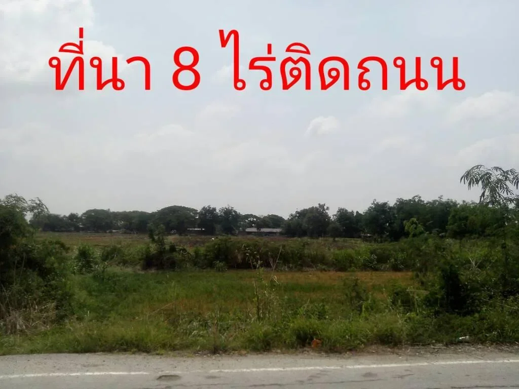 ขายที่นา 8 ไร่ ติดหมู่บ้าน อเมืองนครสวรรค์