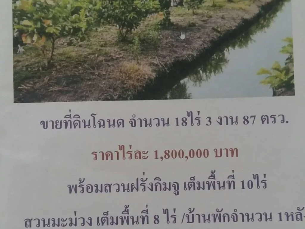 ขายที่ดินพร้อมบ้านและสวนผลไม้เนื้อที่18ไร่ไร่ละ1700000ใกล้ทางด่วนกาญจนบุรี-กทม