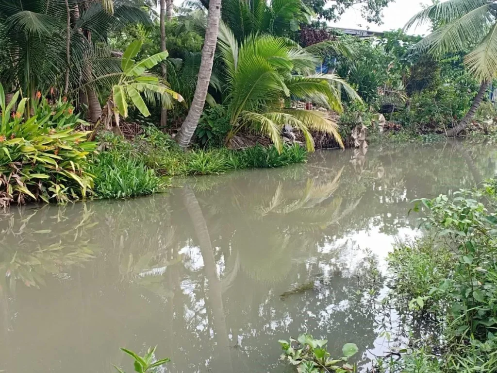 350 ตรว ติดคลองบางวันทอง สวนส้มโอ