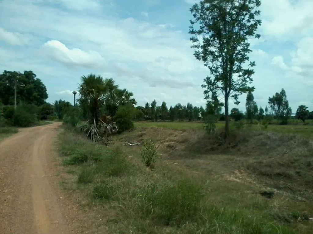 ขายที่ดิน 13 ไร่ ด้านหลังติดลำห้วย