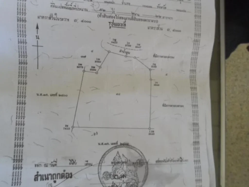 ที่ดิน 52 ไร่ๆละ40000 บ้านเสียว ตบ้านเสียว อนาหว้าต่อรองได้ทำเลดีครับ