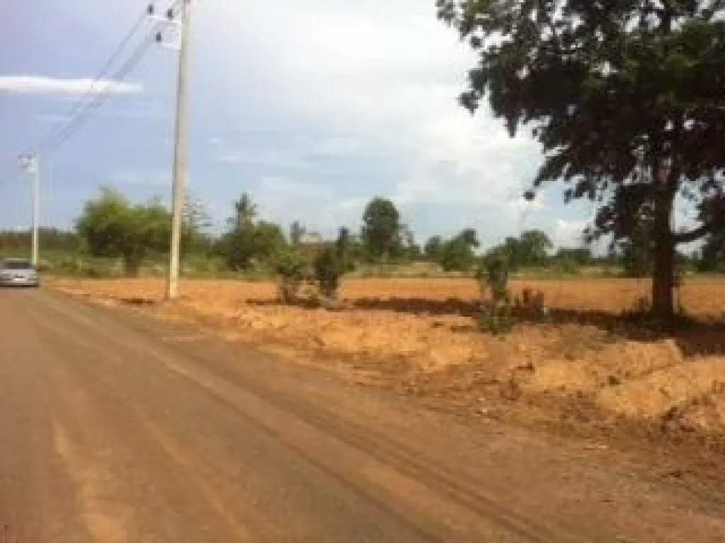 ขายที่ดิน 10 ไร่ ติดถนน หลังหวัดหนองล้างช้าง