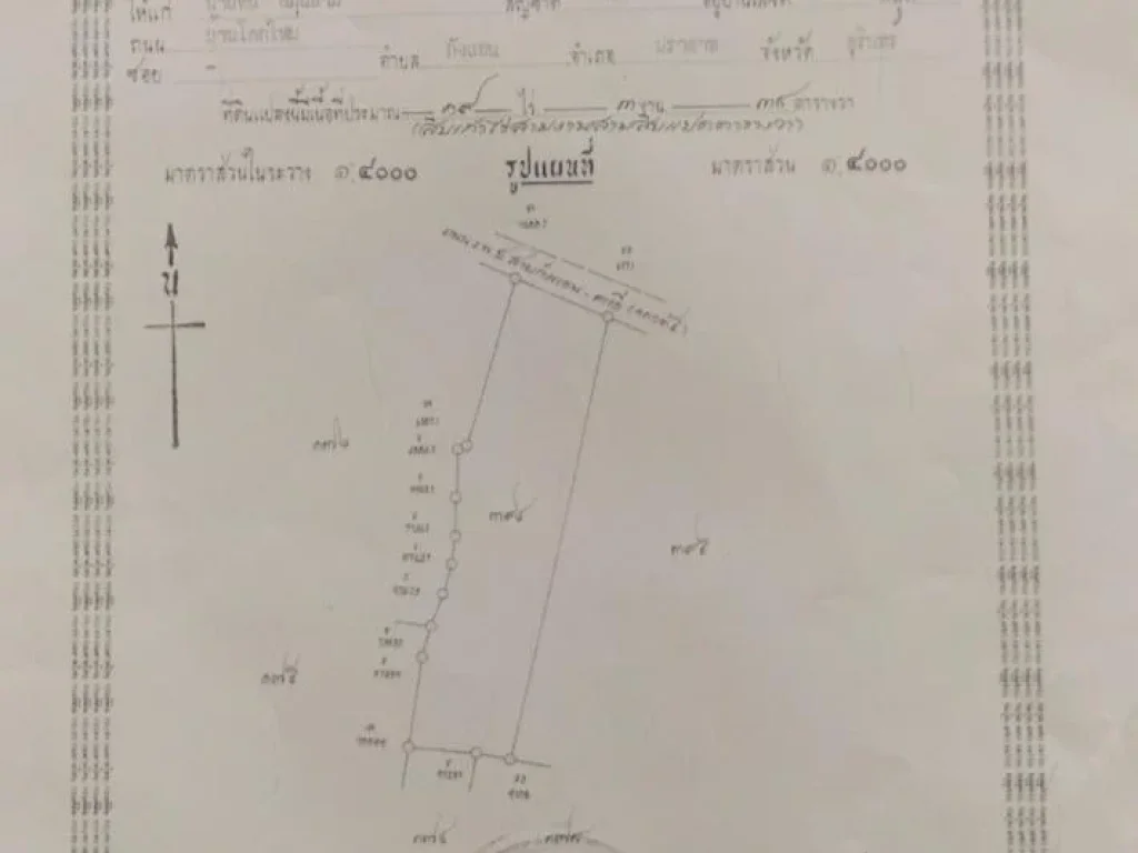 ขายที่ดินติดถนนดำ 19ไร่ 3งาน 38ตรวฺ