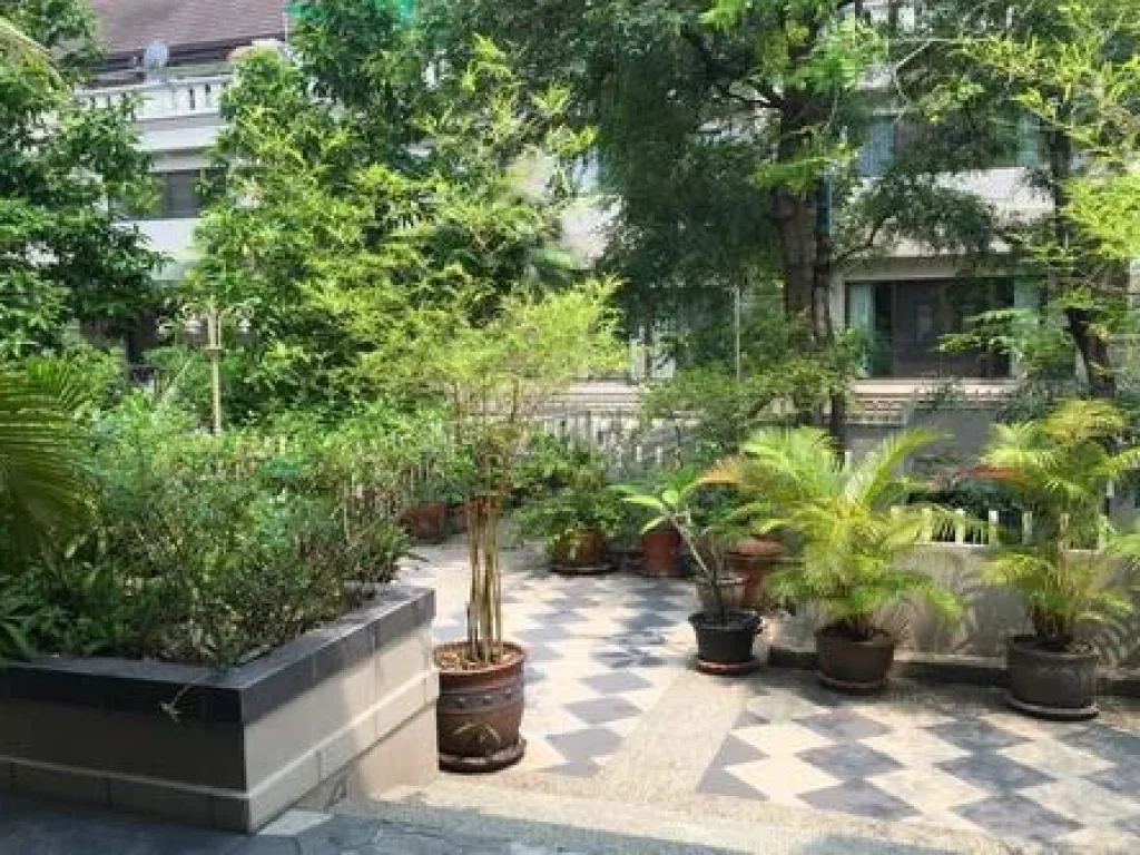 A very large townhouse for rent in the compound on Sukhumvit soi 50