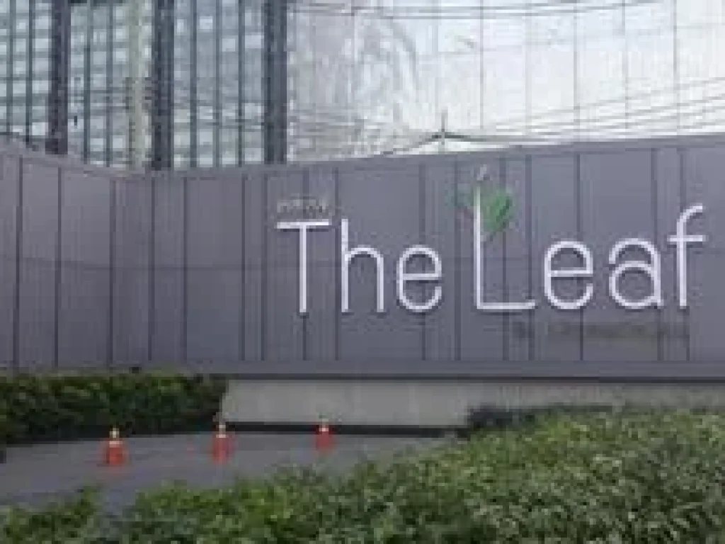 ขายคอนโด The Leaf เดอะลีฟ พัฒนาการ 3038ตรม 1นอน ชั้น11 225ล้าน