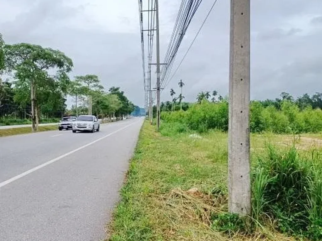 สวนยูคาลิป ติดถนนสุขุมวิท 30-1-19 ไร่ อแกลง จระยอง