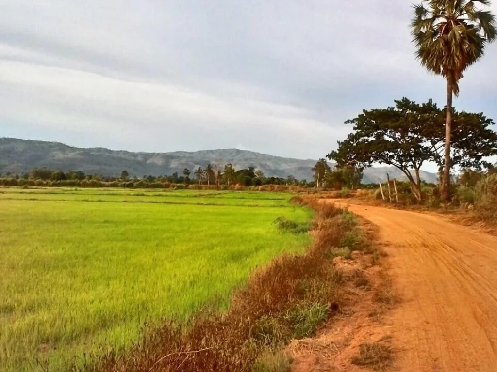 ขายที่ดิน อนครไทย พิษณุโลก 5 ไร่