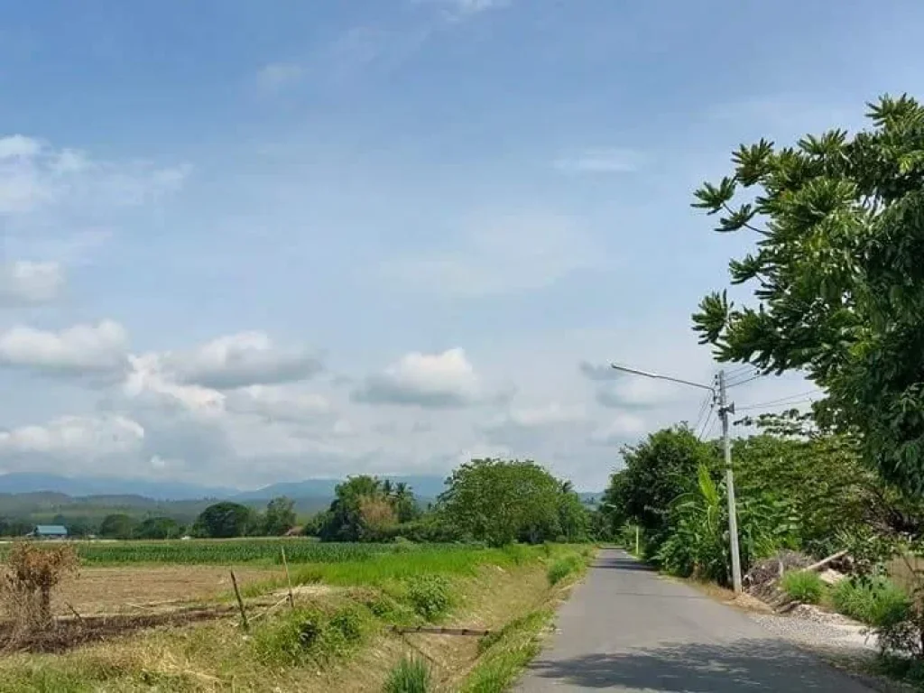 ที่นาติดถนนลาดยางวิวเขาสวยไฟน้ำพร้อม 4 ไร่เศษ อำแม่แตง จเชียงใหม่ราคาเบาๆ