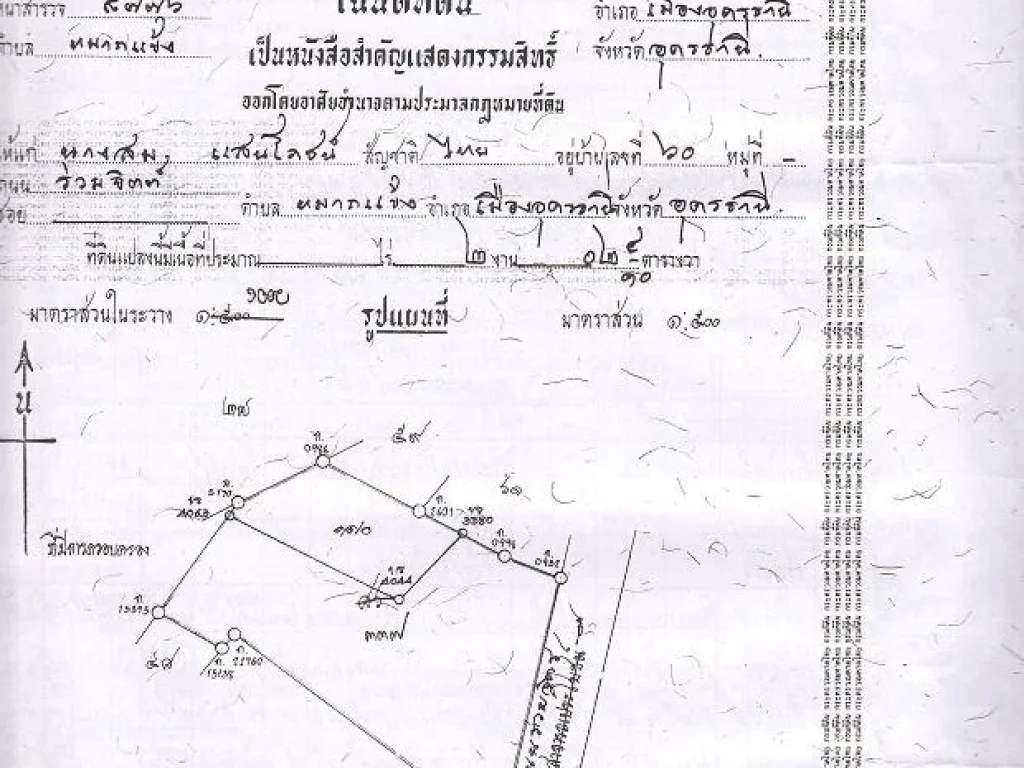 ที่ดินสวย 202 ตรว ถนนโพธิ์ศรี ใกล้โรงแรมพาราไดส์