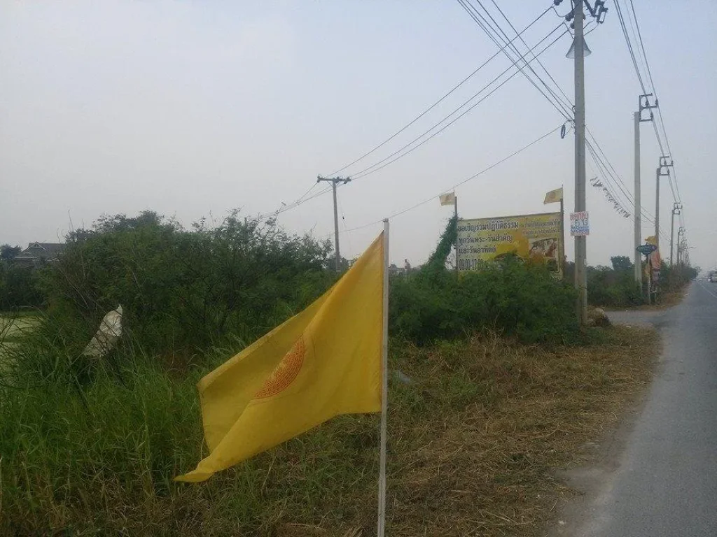 ที่ดินโคตรสวย ถูกที่สุดในย่านนี้