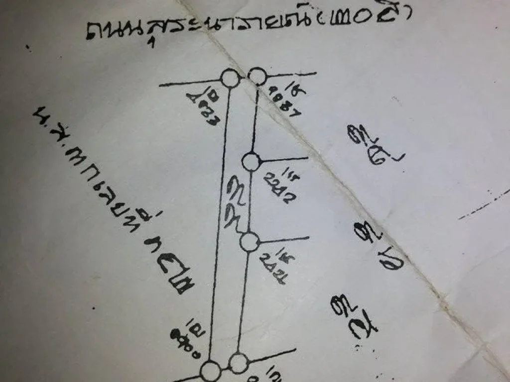 ที่ดินเหมาะอาคารพานิช หน้าโรงเรียนวัดจงโกหน้ากว้าง12มลึก120เมตร