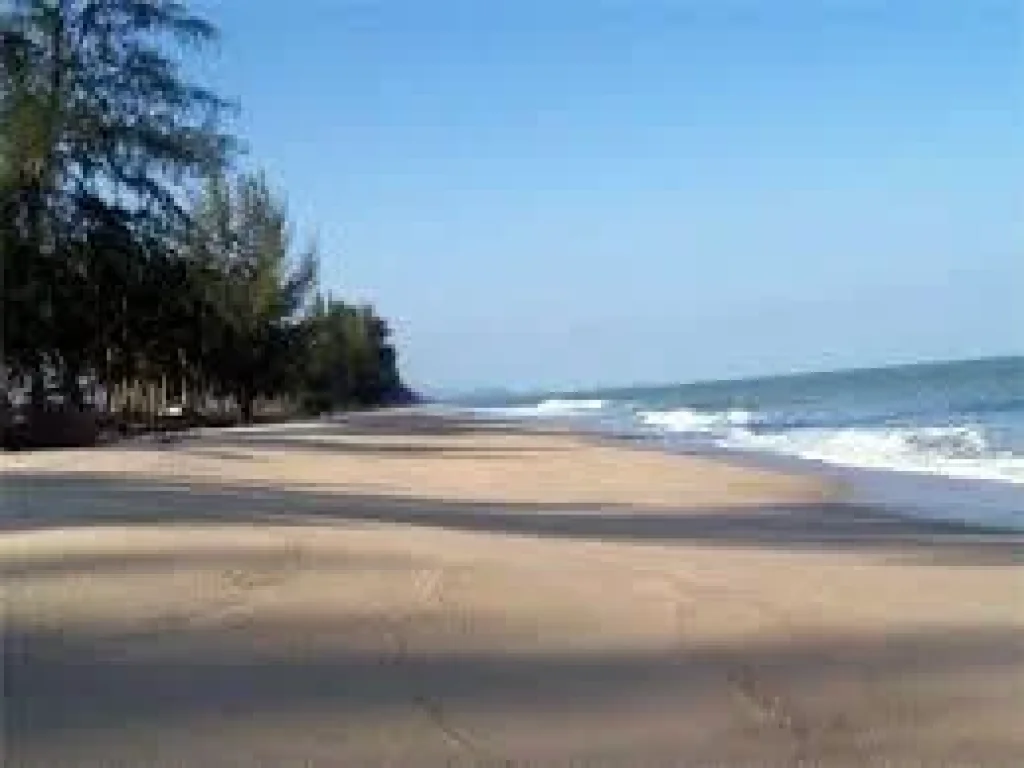 ขายที่ดินติดชายหาด ทรายขาว น้ำใส ไร้มลพิษ เขตหาดแม่พิมพ์