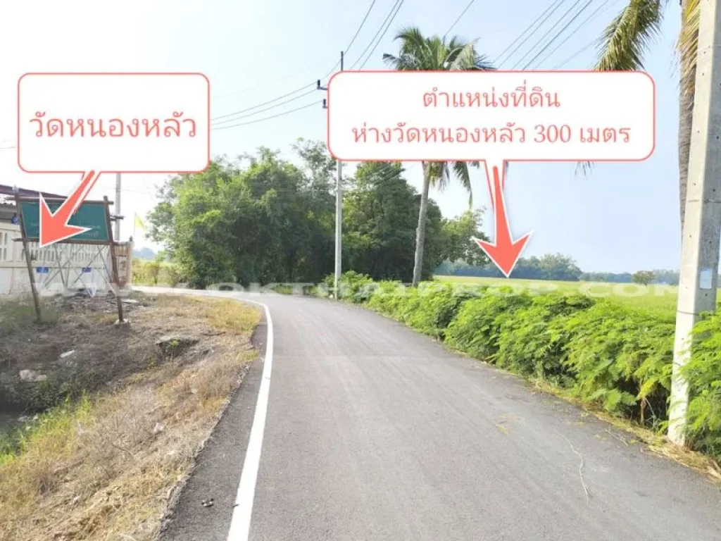 ที่ดิน ถสระบุรี อยุธยา อหนองแซง จสระบุรี