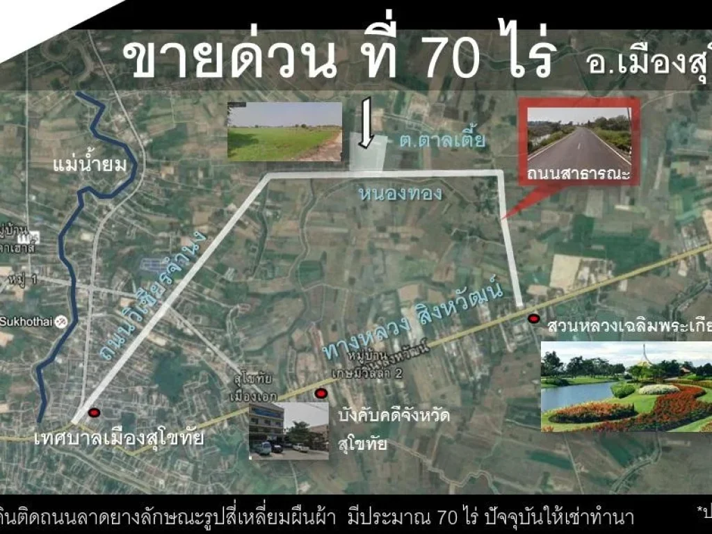 ขายที่ดินจังหวัดสุโขทัย อำเภอเมืองสุโขทัย 70 ไร่ ตตาลเตี้ย