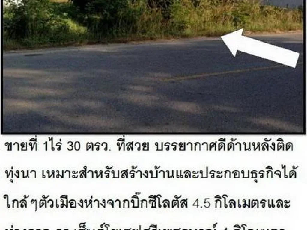 ขายที่ 1ไร่ 30 ตรวติดถนนสายนายม - เพชรบูรณ์