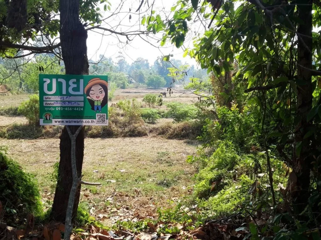 ที่ดินเปล่า ติดถนนอุบล-ตระการ