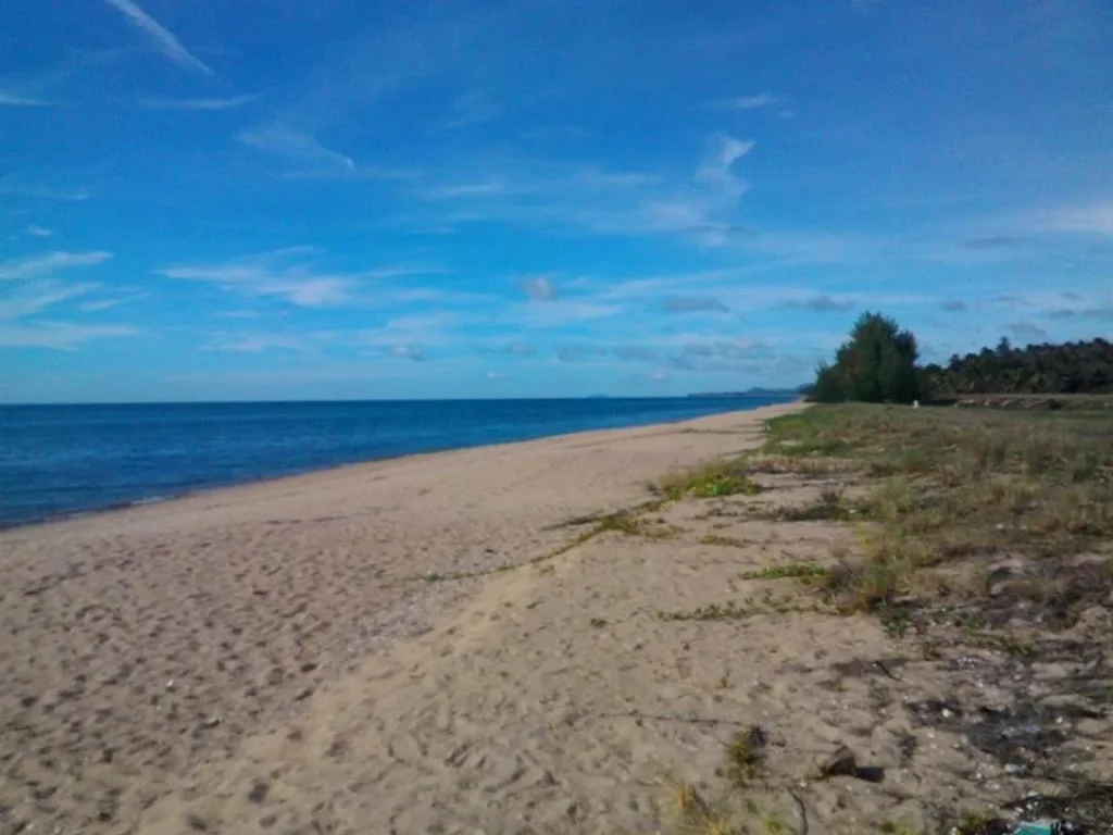 ขายติดหาดส่วนตัว ถูกมาก ไร่ละ 15ล้านบาท 25ไร่สวย หาดแสงอรุณ