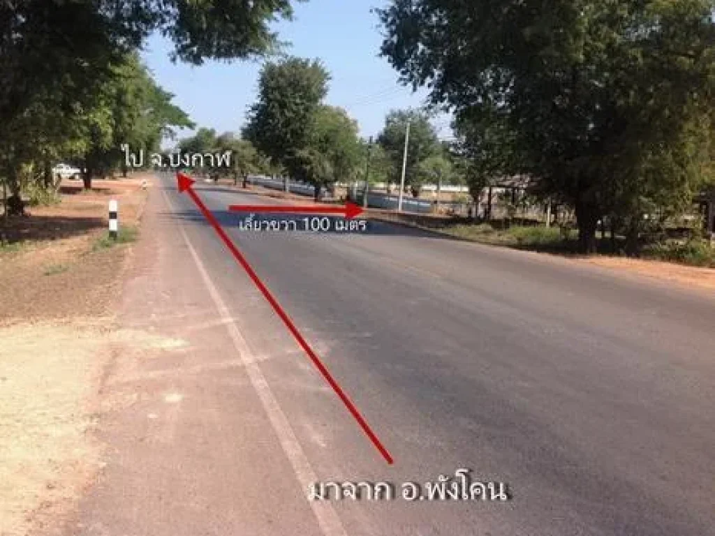 ที่ดินเปล่า 9 ไร่ จบึงกาฬ ห่างจากถนนหมายเลข 222 100 เมตร