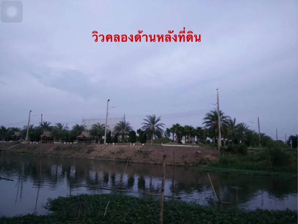 ขายที่ดินคลอง 8 ลำลูกกา 1ไร่ 86 ตร ติดคลอง ด้านหน้าติดถนน