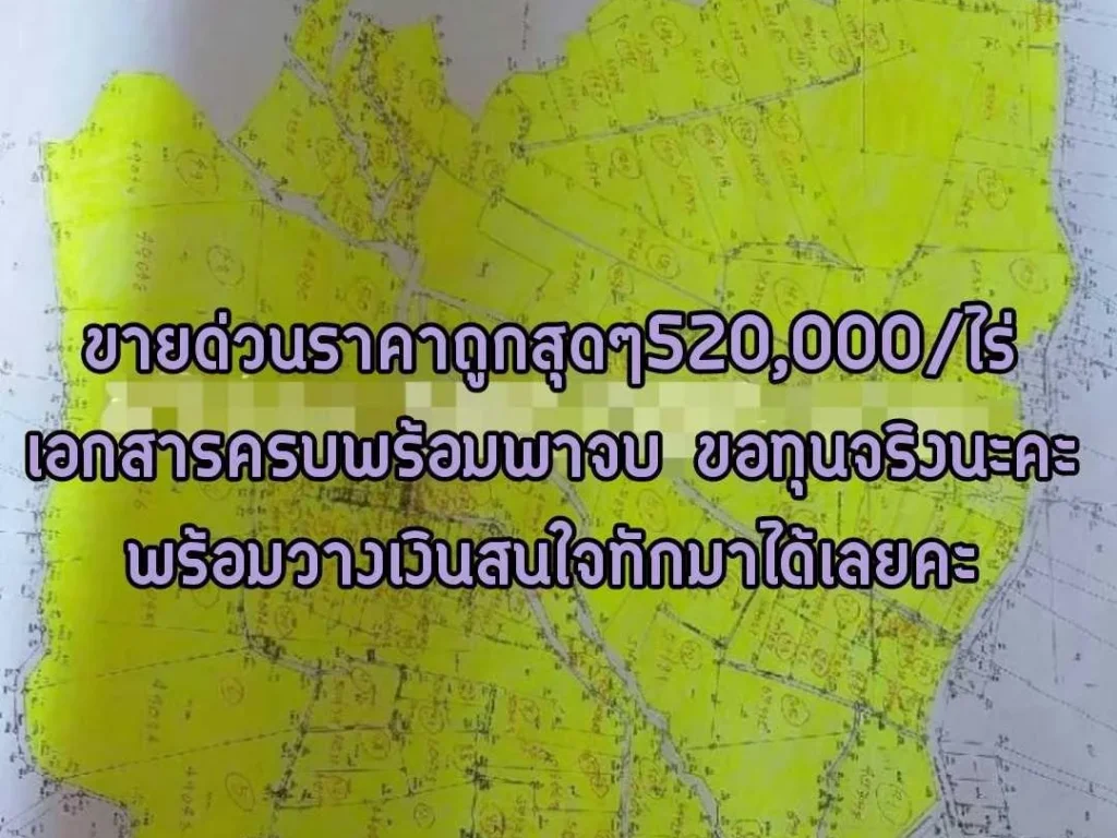 ขายด่วนที่จังหวัดระยองเนื้อที่3572ไร่ ราคาถูกสุดๆ520000ไร่ เอกสารครบขอทุนจริงพร้อมวางเงิน