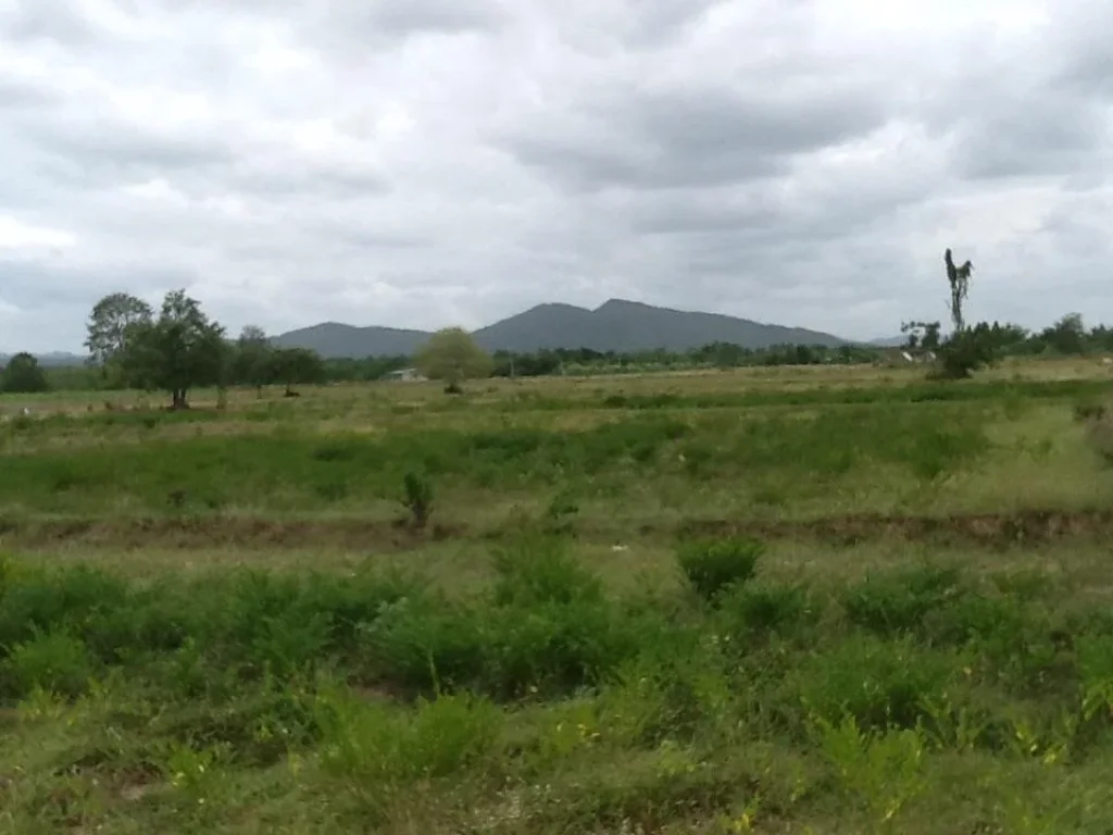 ที่ดิน 2 ไร่ไร่ละ 300000 บาทติดถนนลาดยาง มีน้ำ วิวภูเขาสวย