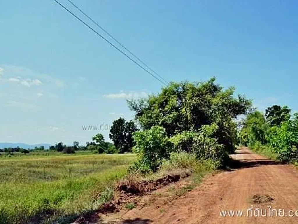 ขายที่ดินเพชรบูรณ์ 217 ไร่เศษ โฉนด ตกองกูล อหนองไผ่ รหัส3088