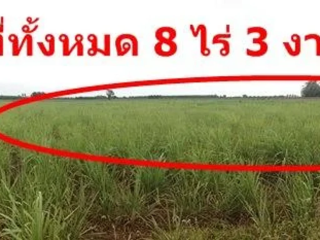 ประกาศขายที่ดินในอำเภอสวรรคโลก