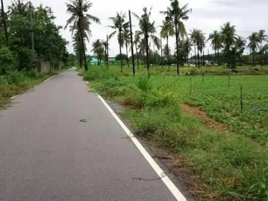 ขายที่ดินติดถนน 2 ด้าน ห่างทะเล 400 เมตร ปรานบุรี