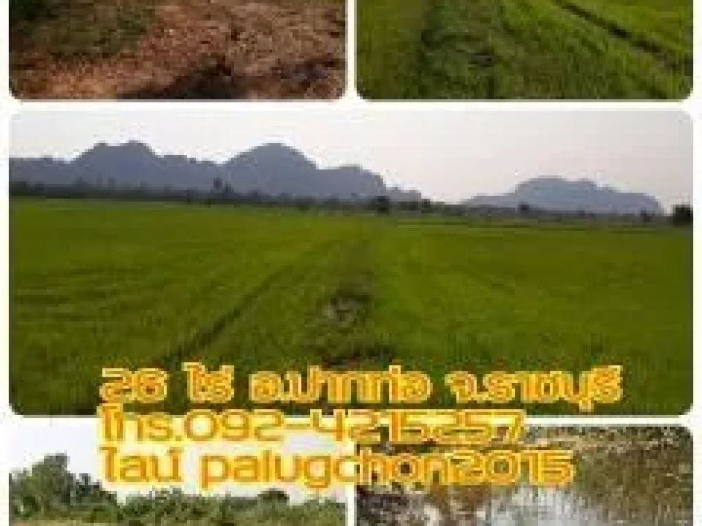 ขายที่นาสวย 2 แปลง วิวภูเขา น้ำดี ทางดี อปากท่อ จราชบุรี