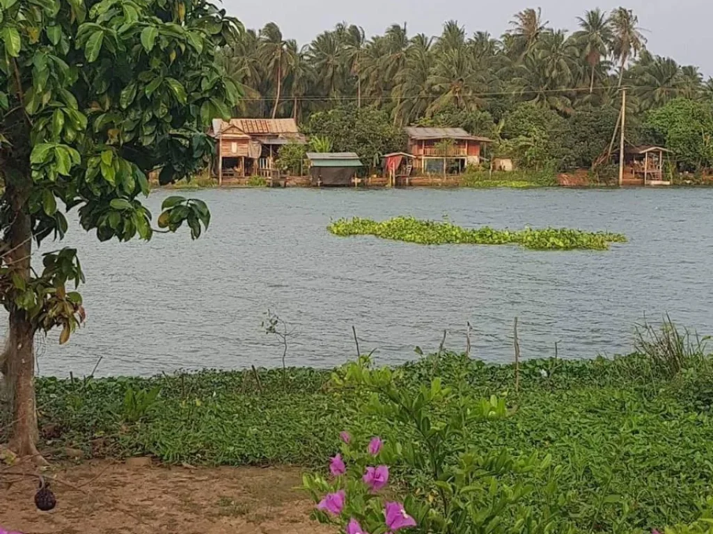 ที่ดินริมแม่น้ำแม่กลอง ติดถนนลาดยาง วิวสวยมาก ใกล้สถานที่ท่องเที่ยว