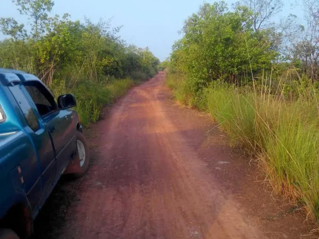 ขายที่ดิน 17 ไร่ บ้านนาหนองผือ ตสามัคคีพัฒนา ออากาศอำนวย จสกลนคร