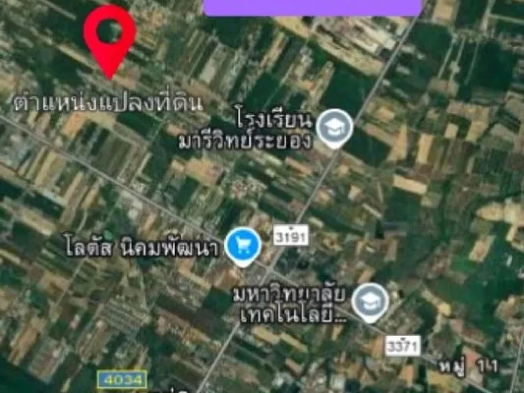 ขายที่ดิน พื้นที่ 2 งาน อนิคมพัฒนา จระยอง