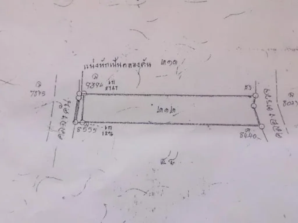 ขายที่สวย 8 ไร่ มีไฟฟ้า ประปา ที่ติดหน้าถนน 80 เมตร