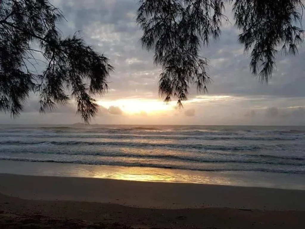 ที่ดินจัดสรร หน้าติดหาดหลังติดภูเขา วิวส่วนตัว อละงู