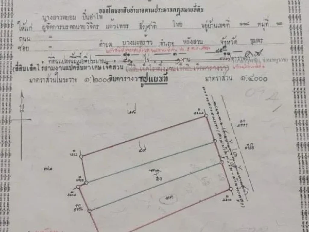 ขายที่ดินติดชายทะเล 16ไร่ๆละ5ล้านบาทที่ตบางมะพร้าว อหลังสวน