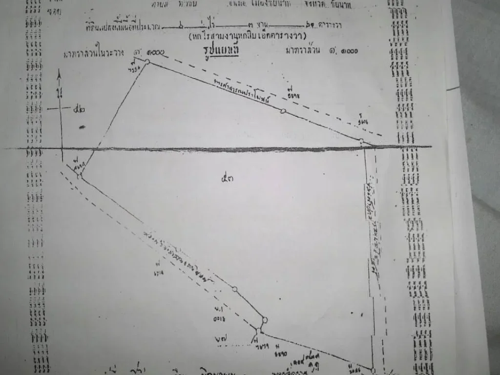 ขายนา6-3-61ทำนาได้ทั้งปี